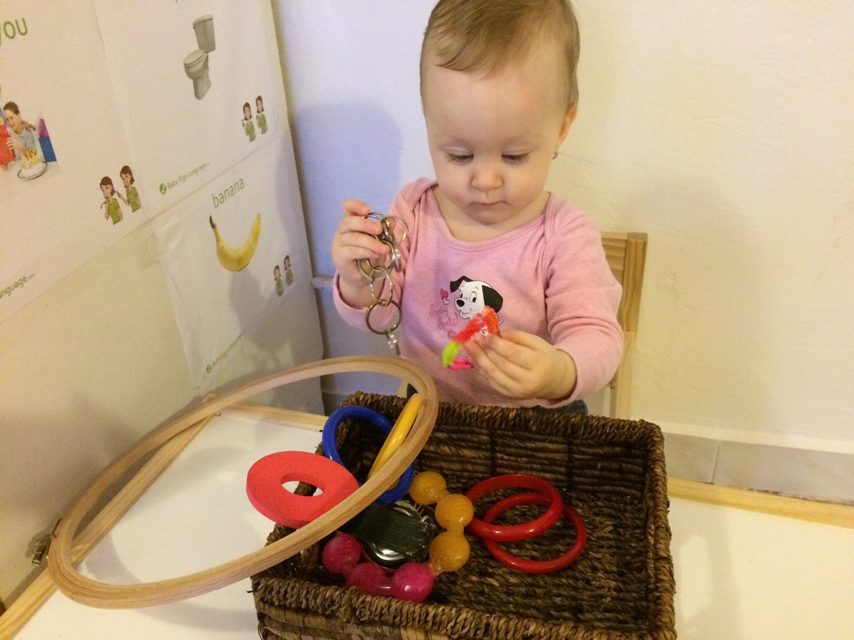circle discovery basket