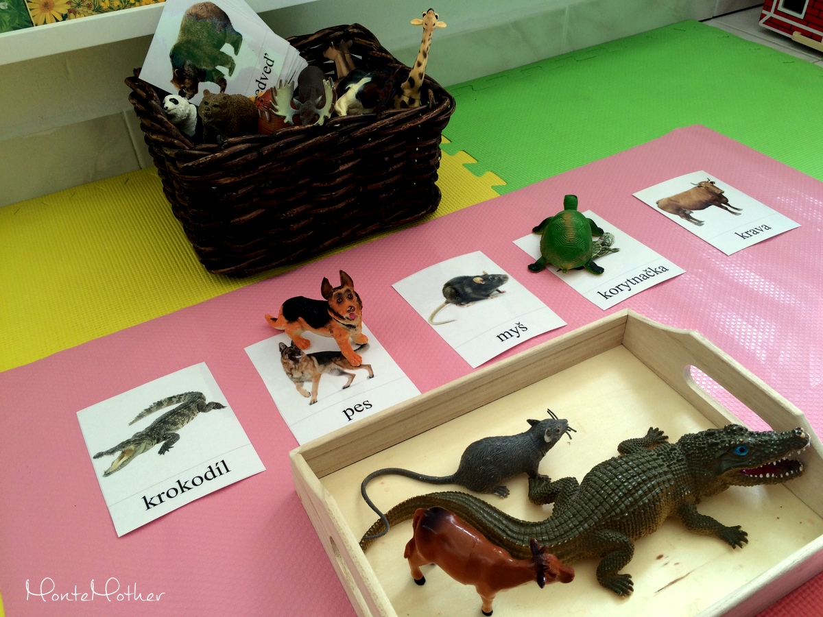 Montessori priradovanie - karticky zvieratiek