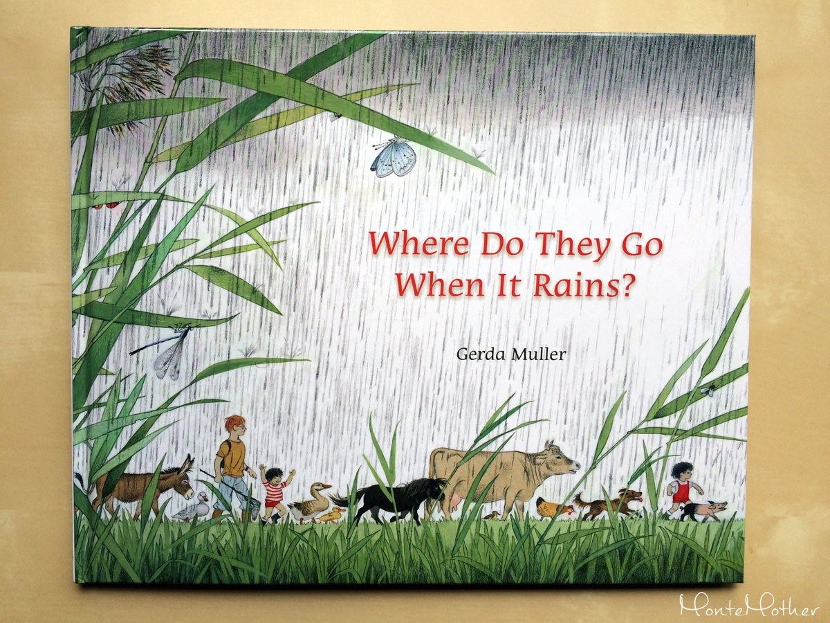 where do they go when it rains
